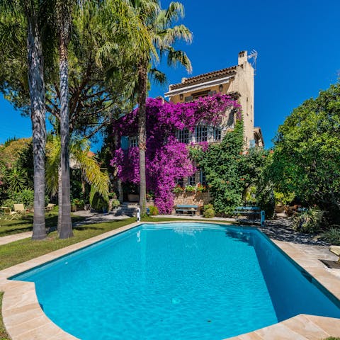 Splash around in the sprawling pool