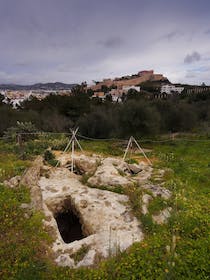 Explore Puig des Molins