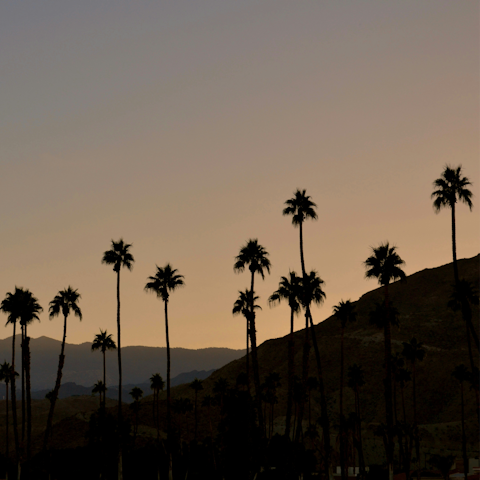 Enjoy life in the vibrant desert city of Palm Springs