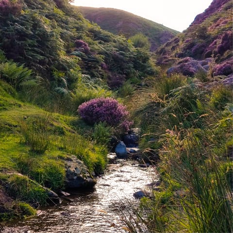Pack a picnic and take the twenty-minute car ride to the Shropshire Hills