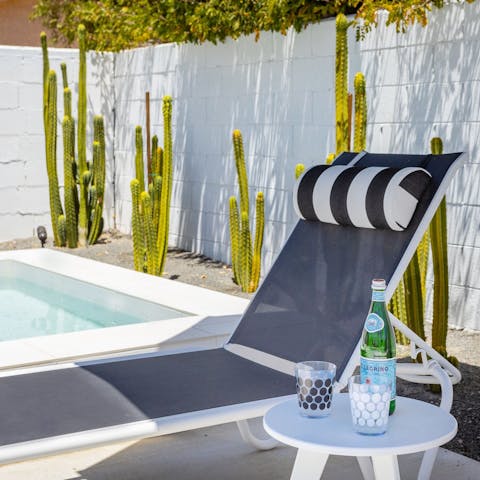 Bask in the sunshine by the cactus garden