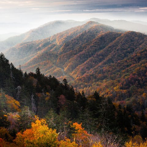 Hike the miles of trails in the Great Smoky Mountain Park