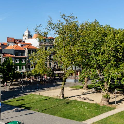 Admire the tranquil garden views
