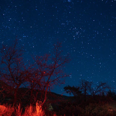 Turn your eyes to the heavens and marvel at the clear skies
