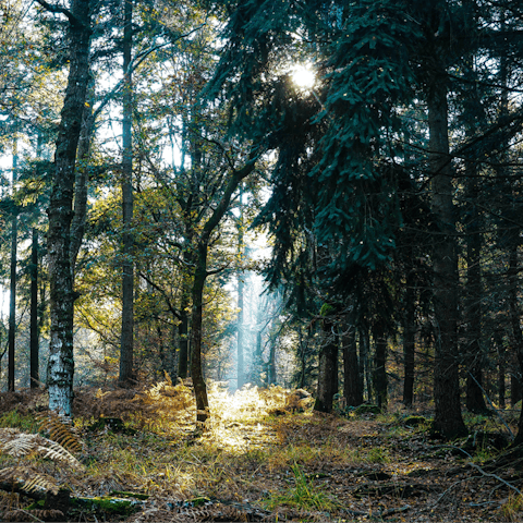 Strap on your hiking boots and explore the miles of nearby trails