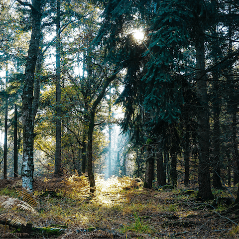 Strap on your hiking boots and explore the miles of nearby trails