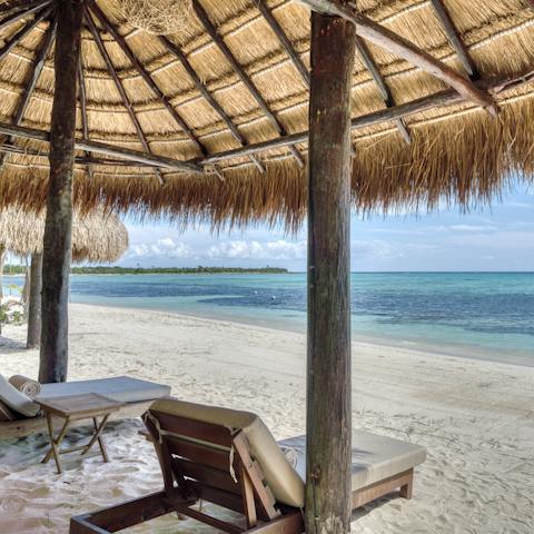 Read a book under the shade of the palapas or simply stare at the blue of the ocean