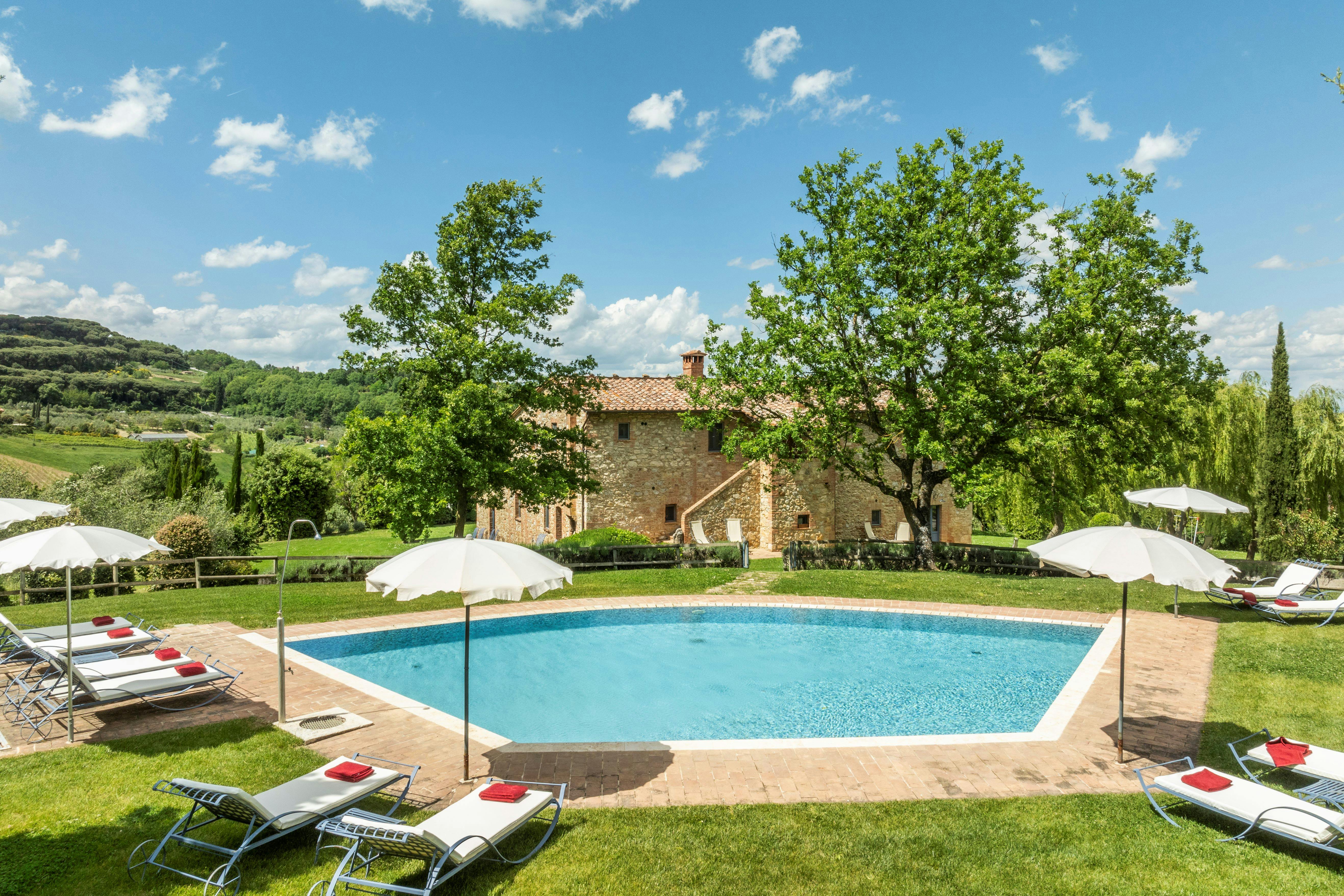 The Olive & the Vine