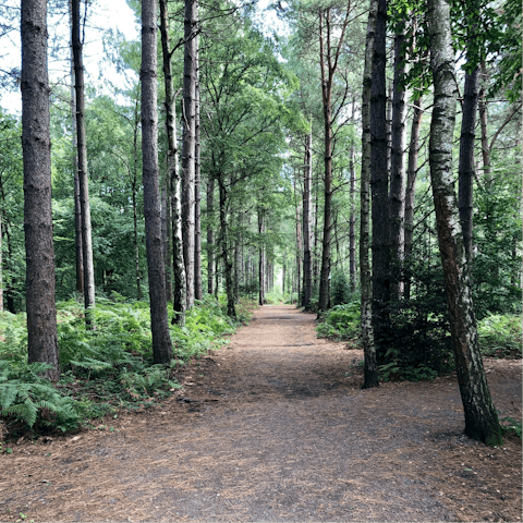 Hike the trails of the South Downs, a ten-minute drive away