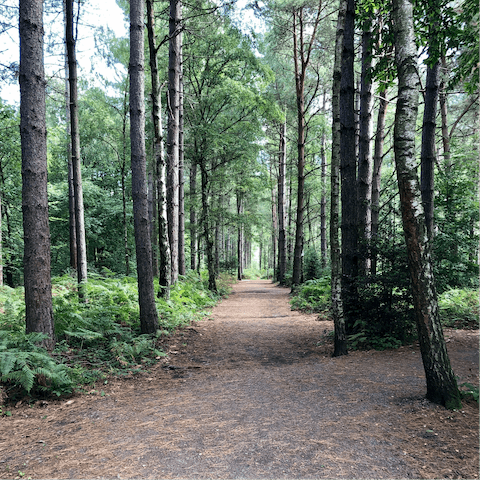 Hike the trails of the South Downs, a ten-minute drive away