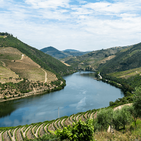 Drift along the majestic Douro River on a private cruise
