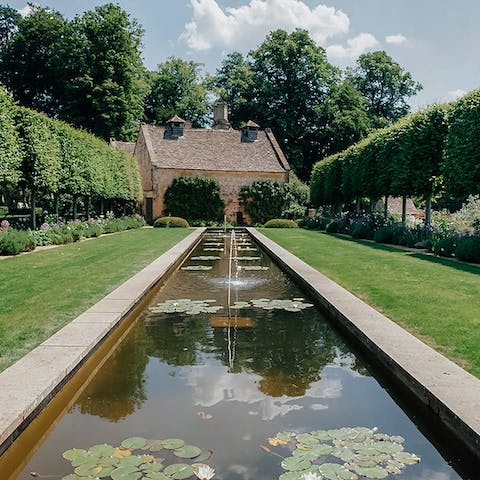 Watch dragon flies dance amongst the lily pads