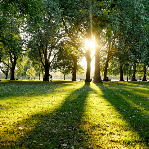 Find peace and relaxation while walking in Hyde Park