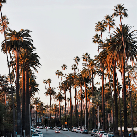 Take a ten-minute drive over to buzzy Beverley Hills