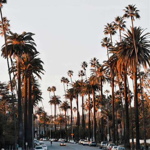 Take a ten-minute drive over to buzzy Beverley Hills