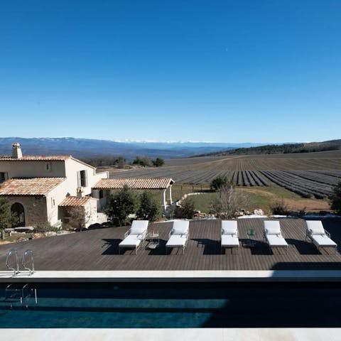 Look out over lavender fields to the mountains beyond as you lounge by the pool