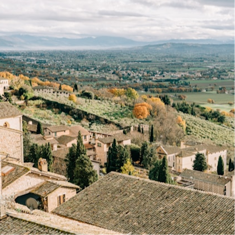 Take a scenic drive to the hilltop town of Assisi