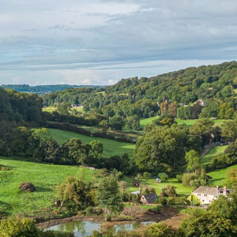 Explore the Laurie Lee walking trail on your doorstep