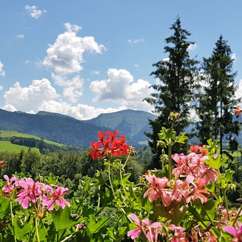 Enjoy the stunning mountain vistas of the Allgau region