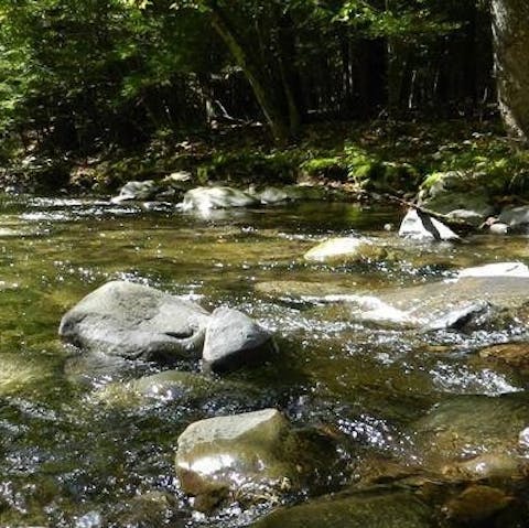 Walk along Mombaccus Creek – visible below the home