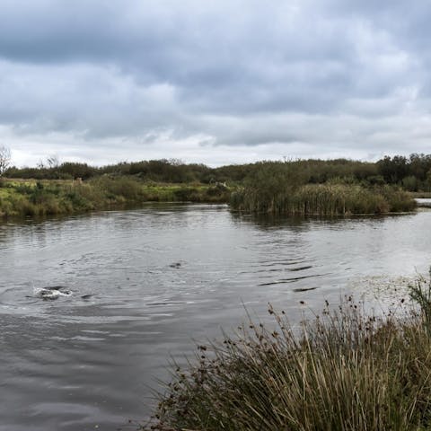 Fish in the on-site lake for trout and carp