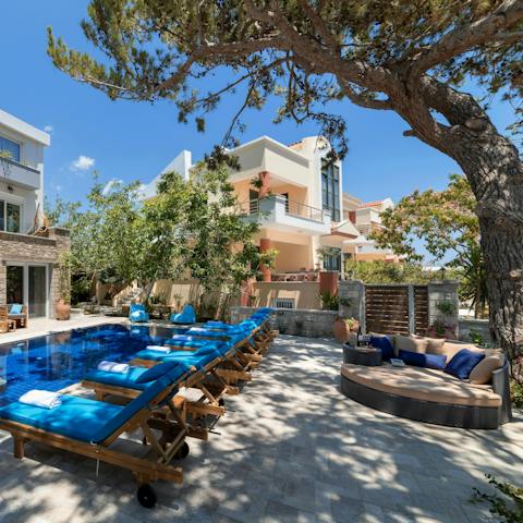 Lounge on the day beds in the shade of the garden's pine trees