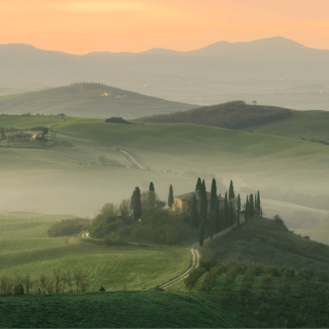 Explore Tuscany, including nearby Suvereto, which overlooks the Tyrrhenian Sea
