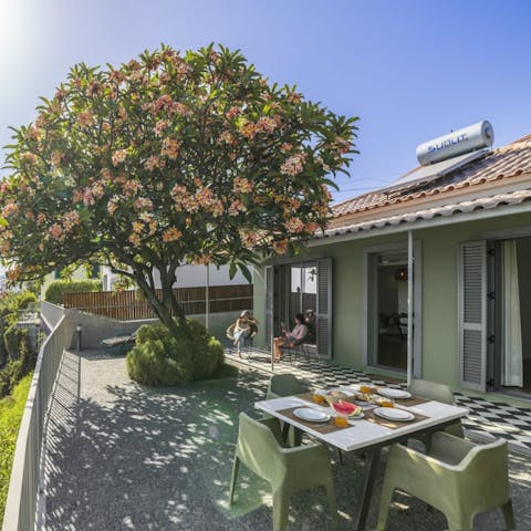 Dine alfresco in the shade of the frangipani tree