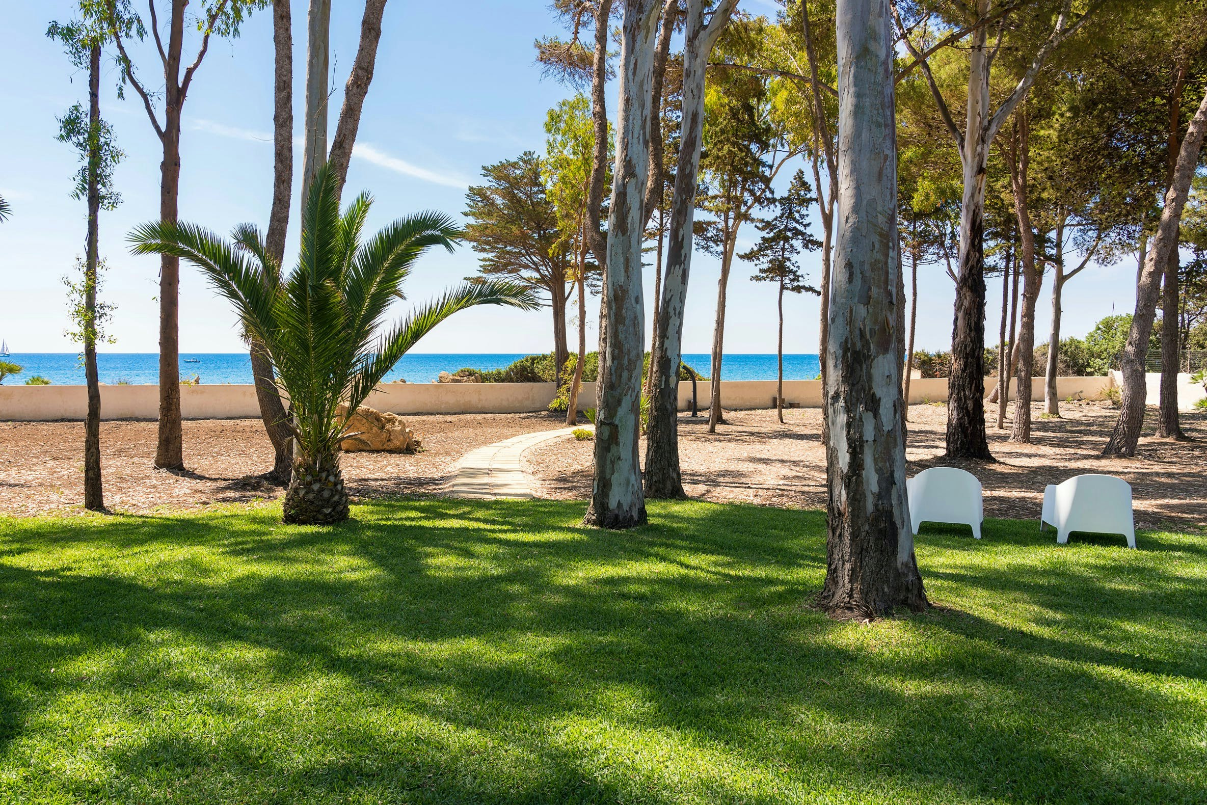 The Punta Blossom