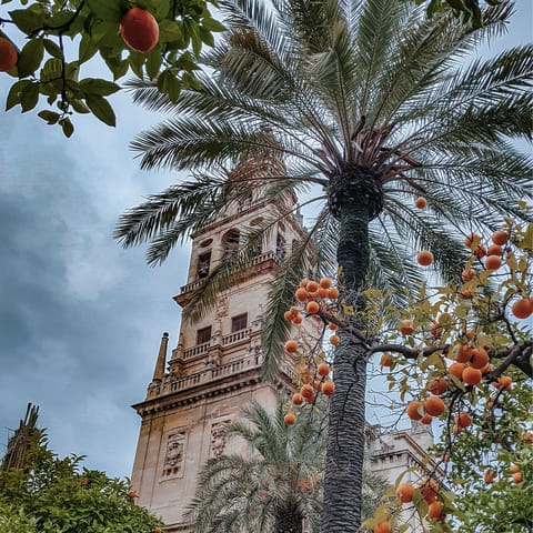 Stay in Cordoba, just five minutes from downtown
