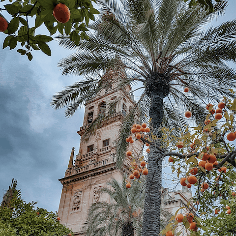 Stay in Cordoba, just five minutes from downtown