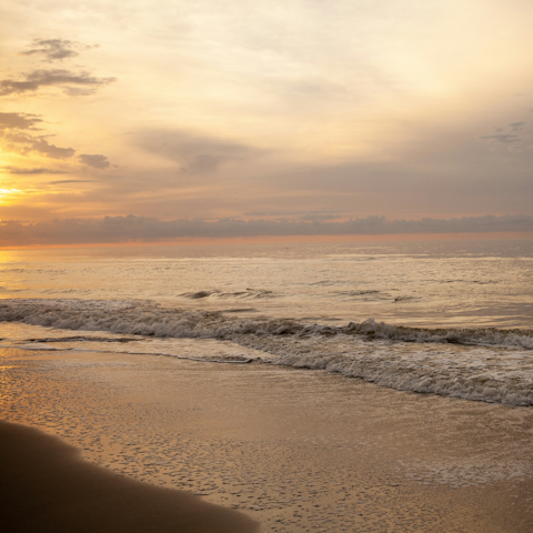 Stroll to Isle of Palms beach to watch the sunset