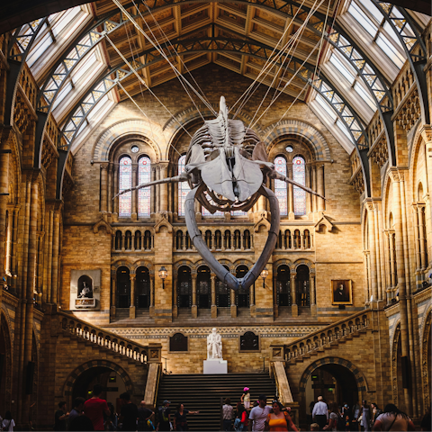 Step back in time at the Natural History Museum, a twenty-minute walk away