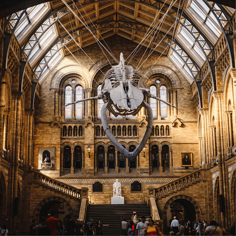 Step back in time at the Natural History Museum, a twenty-minute walk away