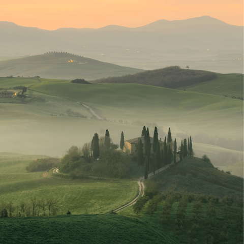 Explore Tuscany, including the hilltop town of Colle di Val d'Elsa
