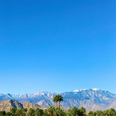 Take the short drive into Palm Desert and check out the shops and eateries