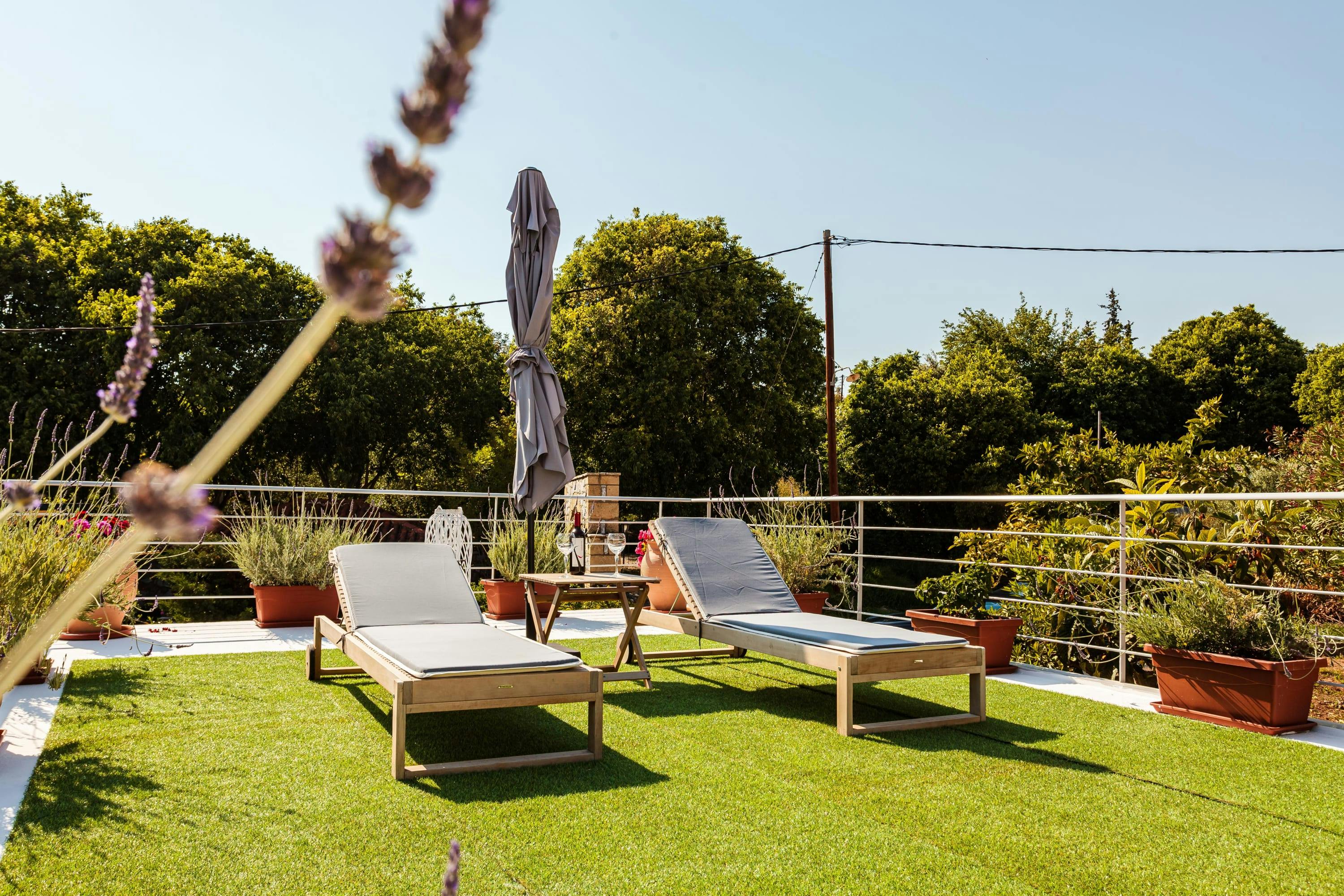 Lavender & Red Roses