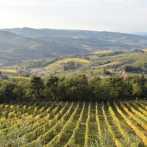 Be inspired by the natural beauty of Italy while exploring Chianti