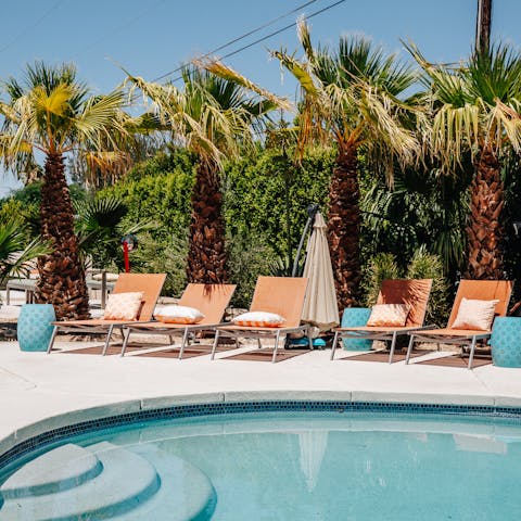 Lounge by the palm fringed pool or have  a dip to cool off