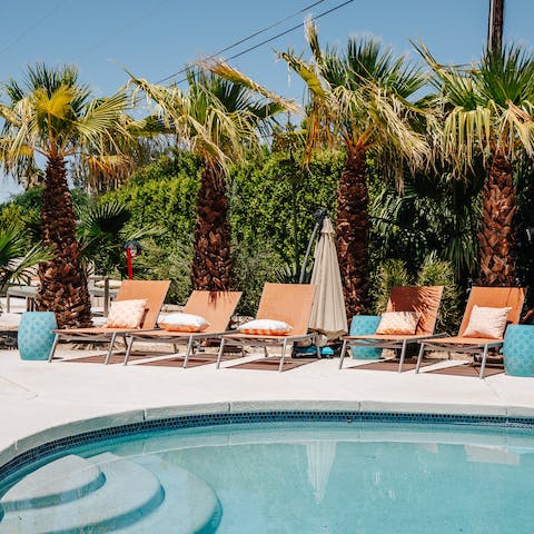 Lounge by the palm fringed pool or have a dip to cool off