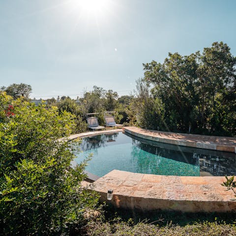 Doze in the sunshine beside the private pool