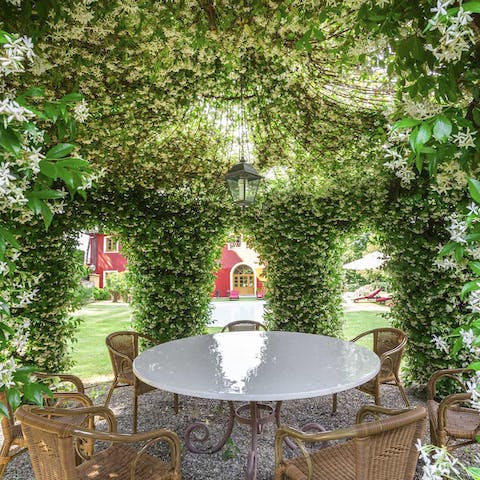 Dine under the jasmine-covered gazebo