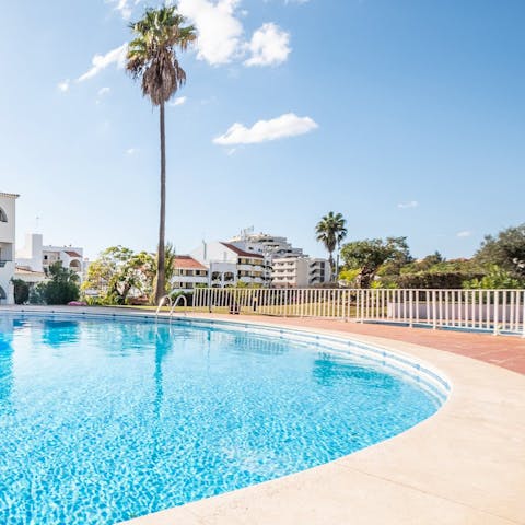 Beat the heat with a dip in the shared pool