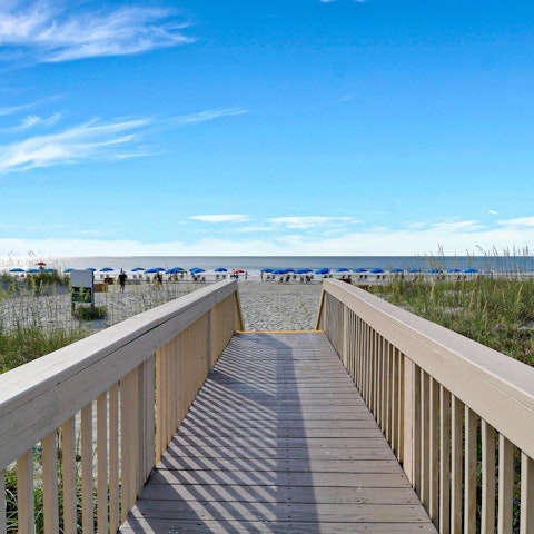 Spend a morning along the nearby shores of Hilton Head