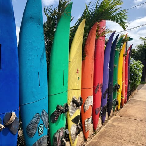 Ask your host to arrange a private surfing class for your and your guests