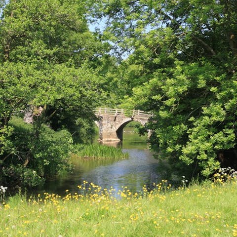 Experience the idyllic beauty of the English countryside from this home in Somerset