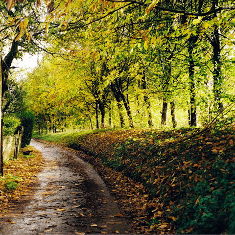 Follow one of the picturesque footpaths leading off the farm through nature