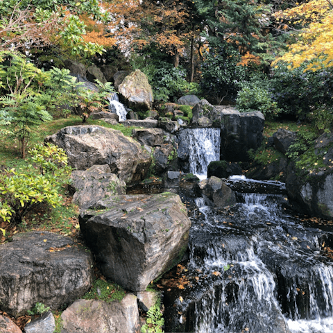 Visit the beautiful Japanese Garden in nearby Holland Park – it's a little over ten minutes' walk
