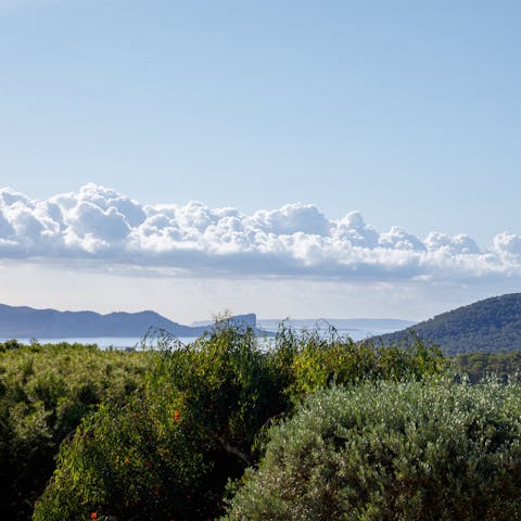 Admire the Mediterranean Sea views from the terrace and balconies
