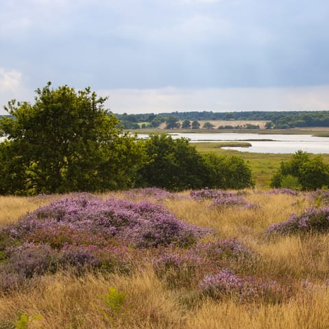 Go for a fresh country stroll along the River Deben